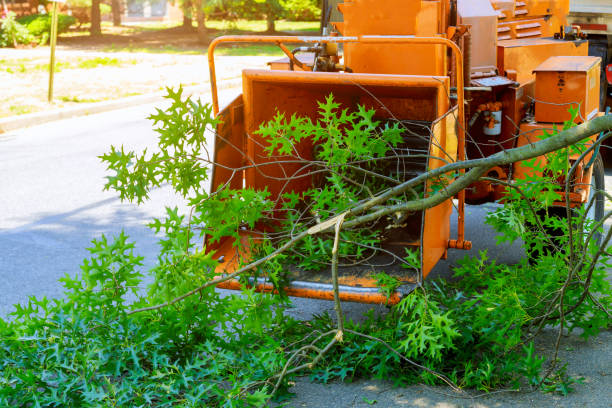 Best Lawn Grading and Leveling  in Falls Creek, PA